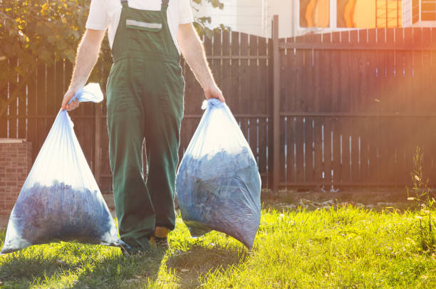 Best Affordable Junk Removal Services  in Mounds View, MN