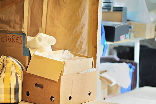 Best Dumpster Rental Services  in Mounds View, MN